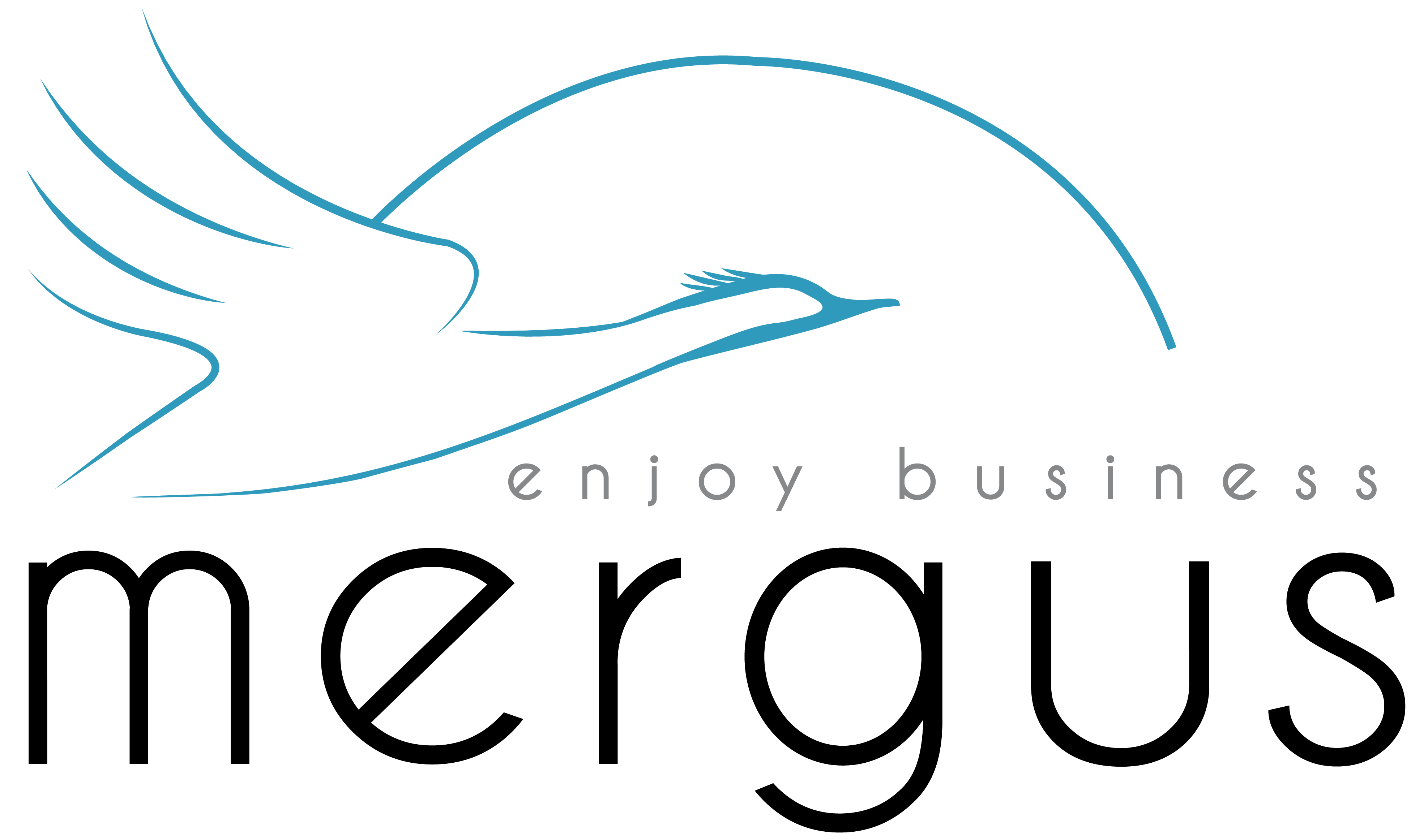 Mergus Logo